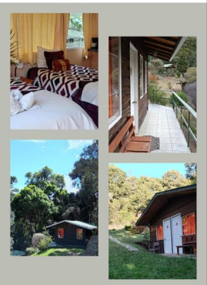 Miriam'S Quetzals lodge